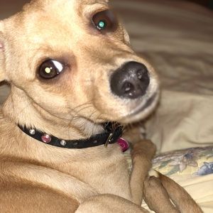 Meet your Posher, Sandi